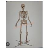 12ft Grave & Bones Giant Sized Skelly