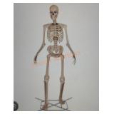 12ft Skelly with Servo