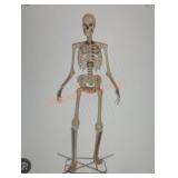 12ft Skelly with Servo