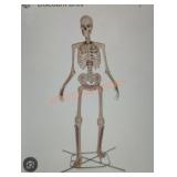 12ft Grave and bones Giant-Sized Skelly
