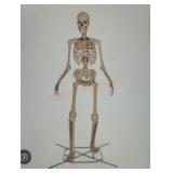 12ft Grave and bones Giant-Sized Skelly