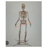 12ft Grave and bones Giant-Sized Skelly