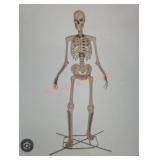 12ft Grave and bones Giant-Sized Skelly