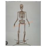 12ft Skelly with Servo