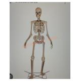 12ft Grave & Bones Giant Sized Skelly