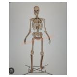 12ft Grave & Bones Giant Sized Skelly