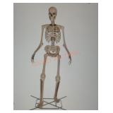 12ft Skelly with Servo