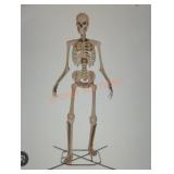 12ft Skelly with Servo