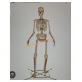 12ft Grave & Bones Giant sized Skelly