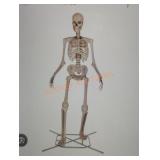 12ft Grave and bones Giant-Sized Skelly