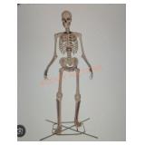 12ft Skelly with Servo