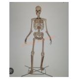 12ft Skelly with Servo