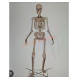 12ft Skelly with servo