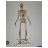 12ft Skelly with Servo