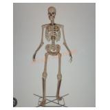 12ft Skelly with Servo