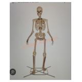 12ft Skelly with Servo