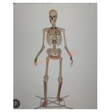 12ft Skelly with Servo