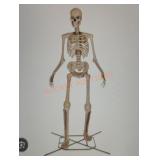 12ft Skelly with Servo