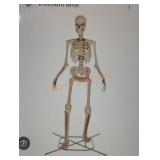 12ft Skelly with Servo