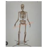 12ft Skelly with Servo