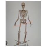 12ft Skelly with Servo