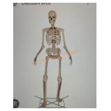 12ft Skelly with Servo