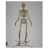 12ft Skelly with Servo