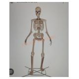 12ft Skelly with Servo