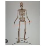 12ft Skelly with Servo