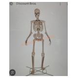 12ft Skelly with Servo