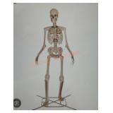 12ft Grave and bones Giant-Sized Skelly