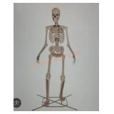 12ft Grave and bones Giant-Sized Skelly