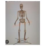 12ft Skelly with Servo