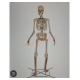 12ft Skelly with Servo