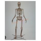 12ft Skelly with Servo