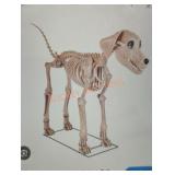 7ft Grave & Bones Skelly Dog with LifeEyes
