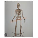 12ft Skelly with Servo