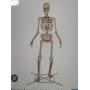 12ft Grave & Bones Giant sized Skelly