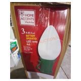 3ft Battery Operated LED Jumbo Bulb