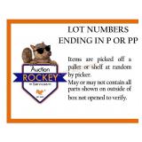 INFORMATION ONLY LOTS ENDING IN P OR PP