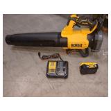 DeWalt 20v Blower Kit
