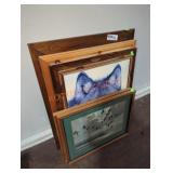 5 Piece Animal Photo Lot