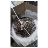 Feather hat and hat box