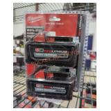 2 Milwaukee M18 6 ah batteries