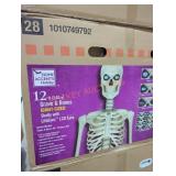 1 12 ft giant sized skelly with life eyes