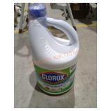 Opened Bottle of Bleach