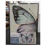 Framed Wall Art