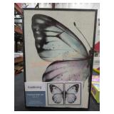 Framed Wall Art