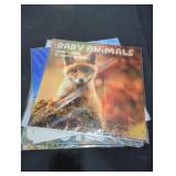 Assorted 2023 -2024 Calendars