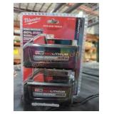 2 Milwaukee M18 high output xc 6 ah batteries